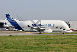 875_5_BelugaXL_F-GXLN_1400.jpg